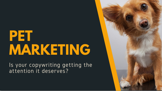 Copywriting is an important element in successful pet marketing. How much care do you put into what you write?