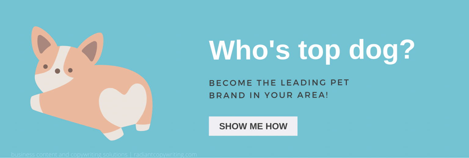 Pet Product Marketing Increase Pet Product Sales (Without Breaking The